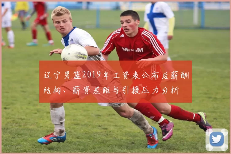 辽宁男篮2019年工资表公布后薪酬结构、薪资差距与引援压力分析