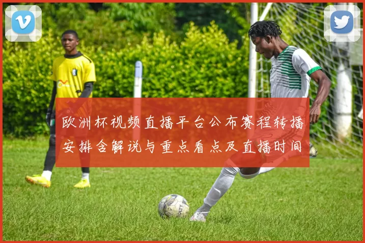 欧洲杯视频直播平台公布赛程转播安排含解说与重点看点及直播时间安排
