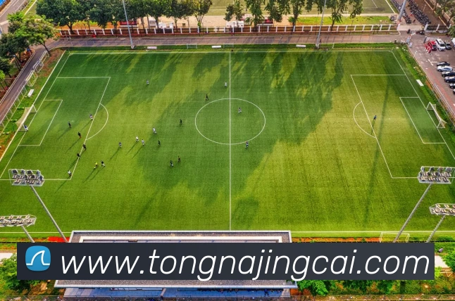 App Interface Preview